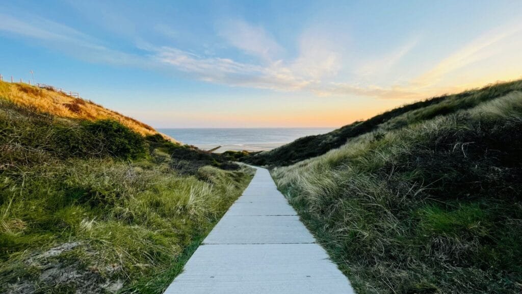 A clear pathway in the landscape. Photo by Jurre Houtkamp.